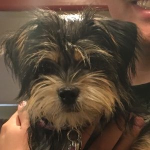 Meet your Posher, Bill